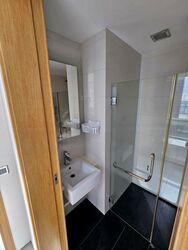 Lumiere (D2), Apartment #501879921